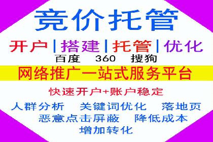 SEM主管如何运用AI技术提升广告效果——案例研究